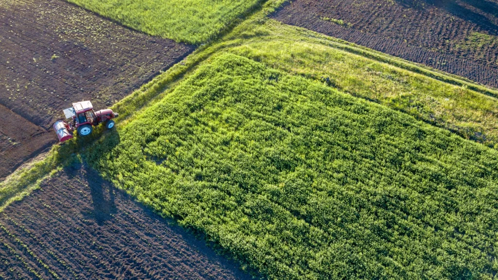 Empowering Farmers Through Education: The Key to Sustainable Agriculture